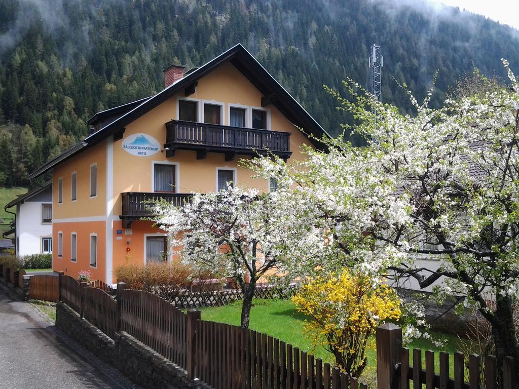 Saeuleck Appartement Inkl Skibus Mallnitz Exterior foto